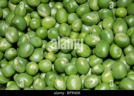 Verde pisello Foto Stock