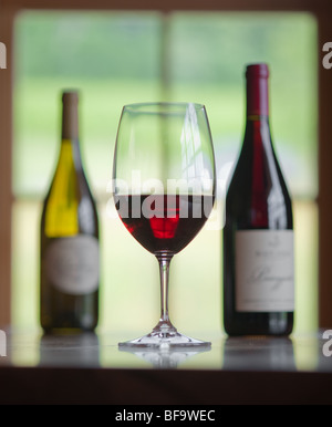 Bicchiere di vino e bottiglie Foto Stock
