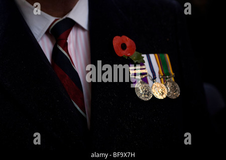 Vedove di guerra e amici indossando le loro medaglie raccolte presso il cenotafio in atto annuale di ricordo per le vittime delle guerre Foto Stock