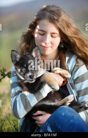 Razza cane (Canis lupus f. familiaris), younf donna con un Husky Australian Sefer cucciolo sul suo braccio, Germania Foto Stock