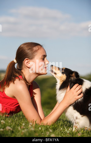 Shetland Sheepdog (Canis lupus f. familiaris), guardando una ragazza Foto Stock