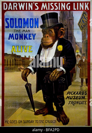 Robert Charles Darwin Darwin's Missing Link Salomone uomo scimmia Foto Stock