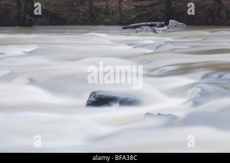 Haw River, Haw River State Park, Pittsboro, North Carolina, STATI UNITI D'AMERICA Foto Stock