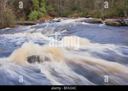 Piccolo fiume che scorre attraverso Rolesville Gora Area Naturale, Rolesville, North Carolina, STATI UNITI D'AMERICA Foto Stock