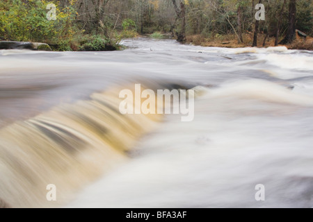 Piccolo fiume che scorre attraverso Rolesville Gora Area Naturale, Rolesville, North Carolina, STATI UNITI D'AMERICA Foto Stock