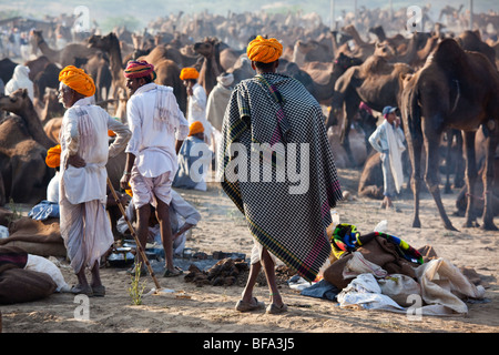 Rajput di uomini e cammelli al Camel Fair in Pushkar India Foto Stock