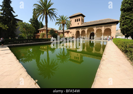 Vista sul laghetto con pesci rossi per la Torre dei signori, il Partal, l'Alhambra di Granada, Andalusia, Spagna Foto Stock