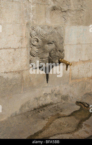 Testa di lombate di fontana in Gerona Spagna con il gocciolamento di acqua Foto Stock