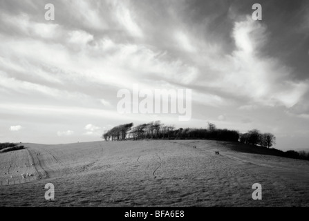 Anello Chanctonbury iron age hillfort sulla South Downs nel Sussex Regno Unito Foto Stock