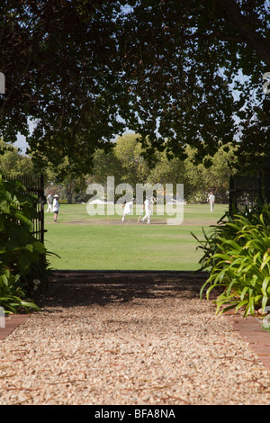 Un locale di cricket in gioco la regione viticola di Constantia, vicino a Città del Capo, Sud Africa Foto Stock