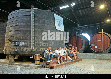 I turisti in cantina del vino di Porto Azienda Real Companhia Velha, Porto, Portogallo Foto Stock