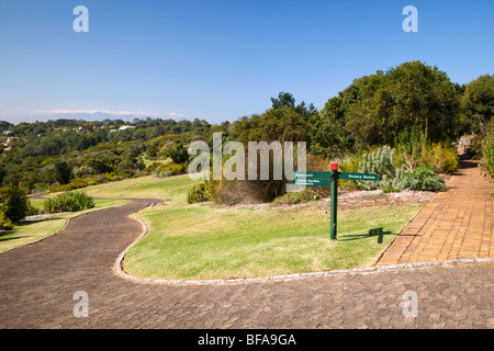 Una scena dal Kirstenbosch National Botanical Gardens di Città del Capo in Sud Africa Foto Stock