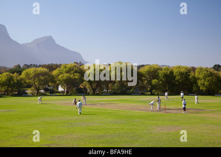 Un locale di cricket in gioco la regione viticola di Constantia, vicino a Città del Capo, Sud Africa Foto Stock