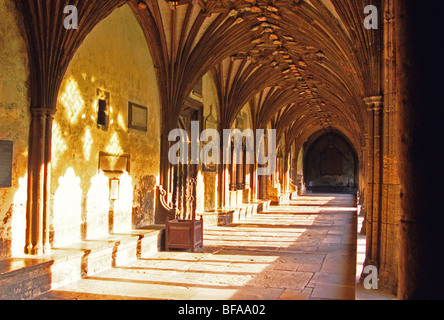 La Cattedrale di Canterbury; chiostri Foto Stock