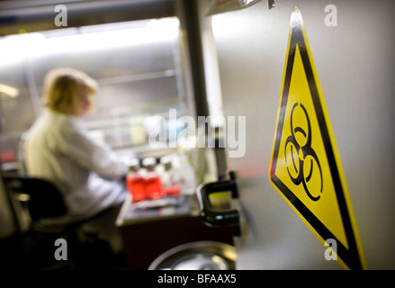 Assistente di laboratorio in una manodopera per la diagnostica clinica dei virus influenzali a Robert Koch-Institute . Berlino , Germania Foto Stock