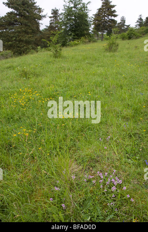 Agricoltore Henry Edmunds 1000 acre Cholderton station wagon, Wiltshire Foto Stock