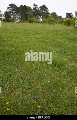 Agricoltore Henry Edmunds 1000 acre Cholderton station wagon, Wiltshire Foto Stock