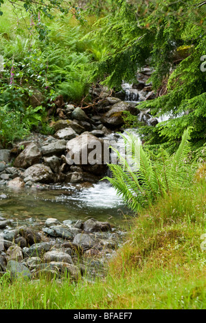 Un torrente di montagna, Cumbria, Regno Unito. Foto Stock