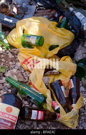 Svuotare le bottiglie di alcolici e di altri rifiuti che possono essere riciclati. Foto Stock