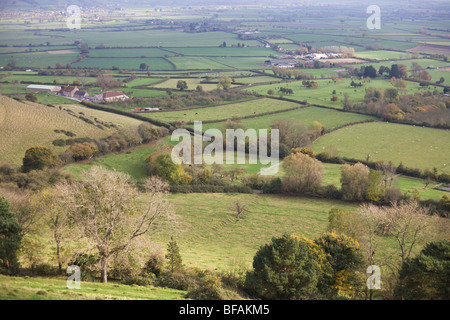 Visto da Glastonbury Tor, una vista aerea del Somerset paesaggio con le aziende, i campi Contenitore e siepi. Foto Stock