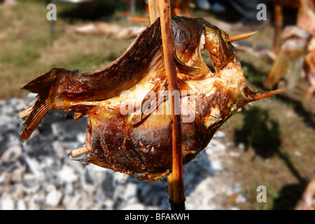 Barbeque Zander essendo cotta su carboni di legna all'aria aperta, stile croato. Ungheria Foto Stock