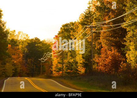 Fili di utilità e poli lungo due corsie, i colori dell'autunno nelle foreste del nord del Wisconsin, USA Foto Stock