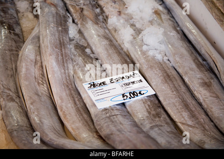 Pesce fresco nel mercato coperto del pesce, Lagos, Portogallo Foto Stock
