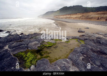 Pozze di marea a beach - Carl G. Washburne stato Memorial Park - vicino a Firenze, Oregon, Stati Uniti d'America Foto Stock