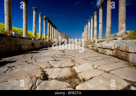 Colonnato street, Jerash, Giordania Foto Stock