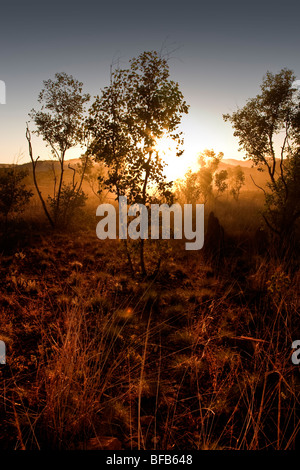 Tramonto sull'outback, Karijini National Park, Australia occidentale Foto Stock