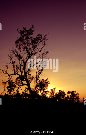 Tramonto sull'outback, Karijini National Park, Australia occidentale Foto Stock