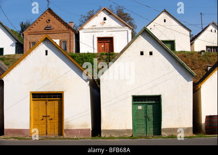 Villanykovesd cantine (vill nyk vesd pince ), Villany ( vill ny ) Ungheria. Foto Stock