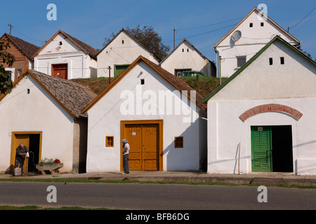 Villanykovesd cantine (vill nyk vesd pince ), Villany ( vill ny ) Ungheria. Foto Stock