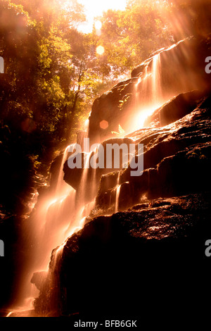 Sylvia scende sulla Valle delle acque a piedi, Blue Mountains, Australia Foto Stock