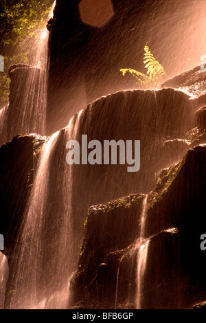 Sylvia scende sulla Valle delle acque a piedi, Blue Mountains, Australia Foto Stock