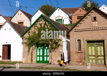 Villanykovesd cantine (vill nyk vesd pince ), Villany ( vill ny ) Ungheria. Foto Stock