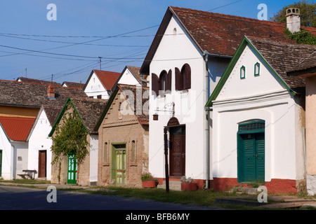 Villanykovesd cantine (vill nyk vesd pince ), Villany ( vill ny ) Ungheria. Foto Stock