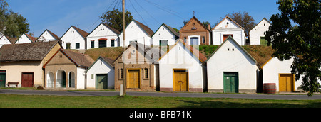 Villanykovesd cantine (vill nyk vesd pince ), Villany ( vill ny ) Ungheria. Foto Stock