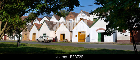 Villanykovesd cantine (vill nyk vesd pince ), Villany ( vill ny ) Ungheria. Foto Stock