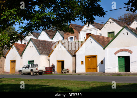 Villanykovesd cantine (vill nyk vesd pince ), Villany ( vill ny ) Ungheria. Foto Stock