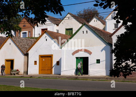 Villanykovesd cantine (vill nyk vesd pince ), Villany ( vill ny ) Ungheria. Foto Stock