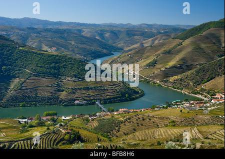 Il Portogallo, nella valle del Douro, Pinhão visto su vigneti terrazzati, dal miradouro de Casal de Loivos Foto Stock