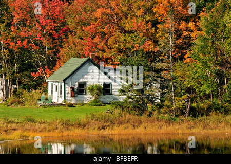 Una vecchia casa vicino a Bar Harbor, Maine, Stati Uniti d'America, circondato da fogliame di autunno in ottobre. Foto Stock