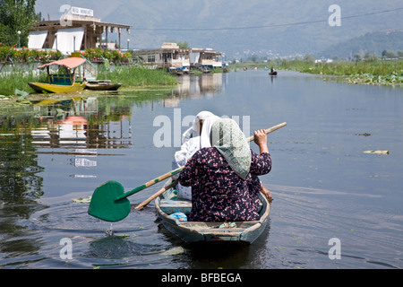 Donne paddling una barca (shikara). Dal Lago. Srinagar. Il Kashmir. India Foto Stock