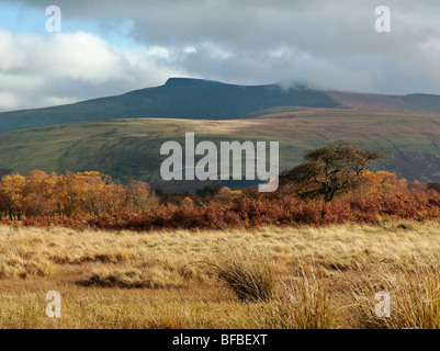 Vista del PEN-Y-ventola e il mais DU DA TRAETH MAWR NR di Brecon Beacons centro di montagna Foto Stock