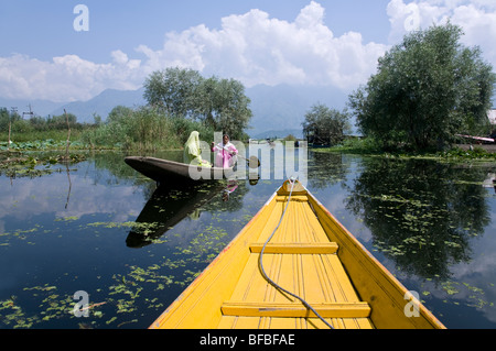 Donne paddling una barca tradizionale (shikara). Dal lago di lagune. Srinagar. Il Kashmir. India Foto Stock