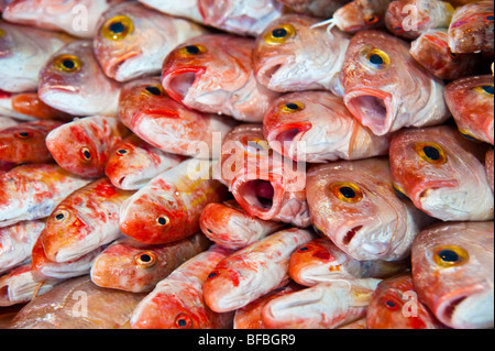 Rosso fresco bottarga di pesce per la vendita sul mercato alimentare a Aegina Island, Grecia Foto Stock