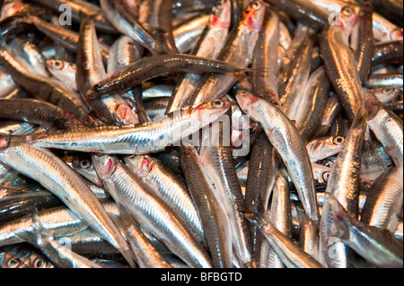 Pesce fresco per la vendita sul mercato alimentare a Aegina Island, Grecia Foto Stock