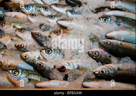 Pesce fresco per la vendita sul mercato alimentare a Aegina Island, Grecia Foto Stock