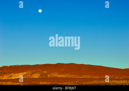 Luna piena al di sopra del Namib NAMIBIA deserto del Namib SOSSUSVLEI la mattina presto atmosfera luminosa atmosfera dune di umore half light alba Foto Stock